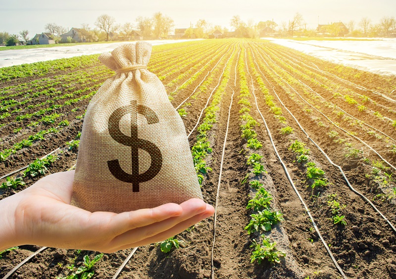 Fiagro, alternativa de investimento