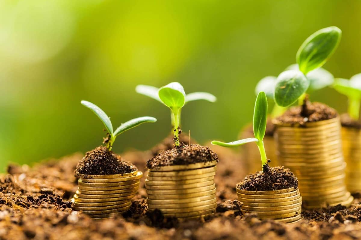 Confira CDB, LCA e LCI para investir a partir de R$ 1 mil e aproveitar a queda da Selic