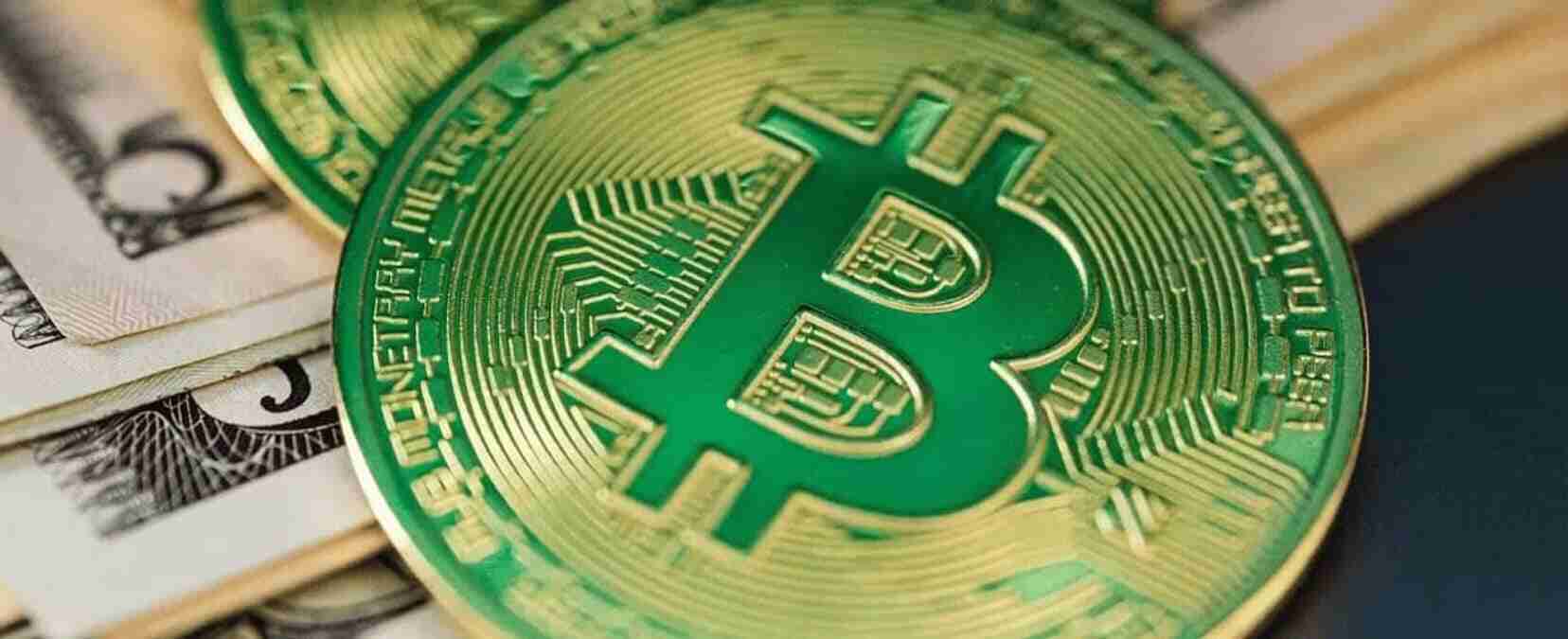 Imagem representando o Bitcoin Cash, mostrando o logo da criptomoeda