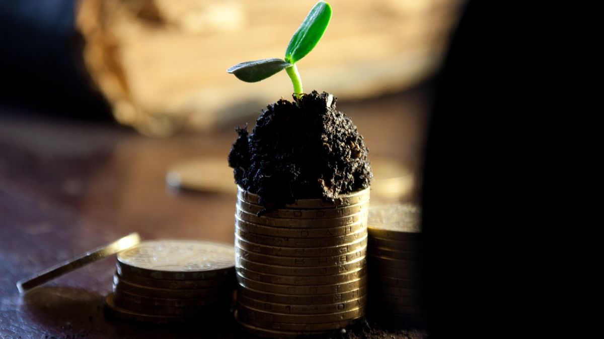 Dividend Yield pode se tornar uma armadilha? Para analista da Empiricus Research, sim; entenda