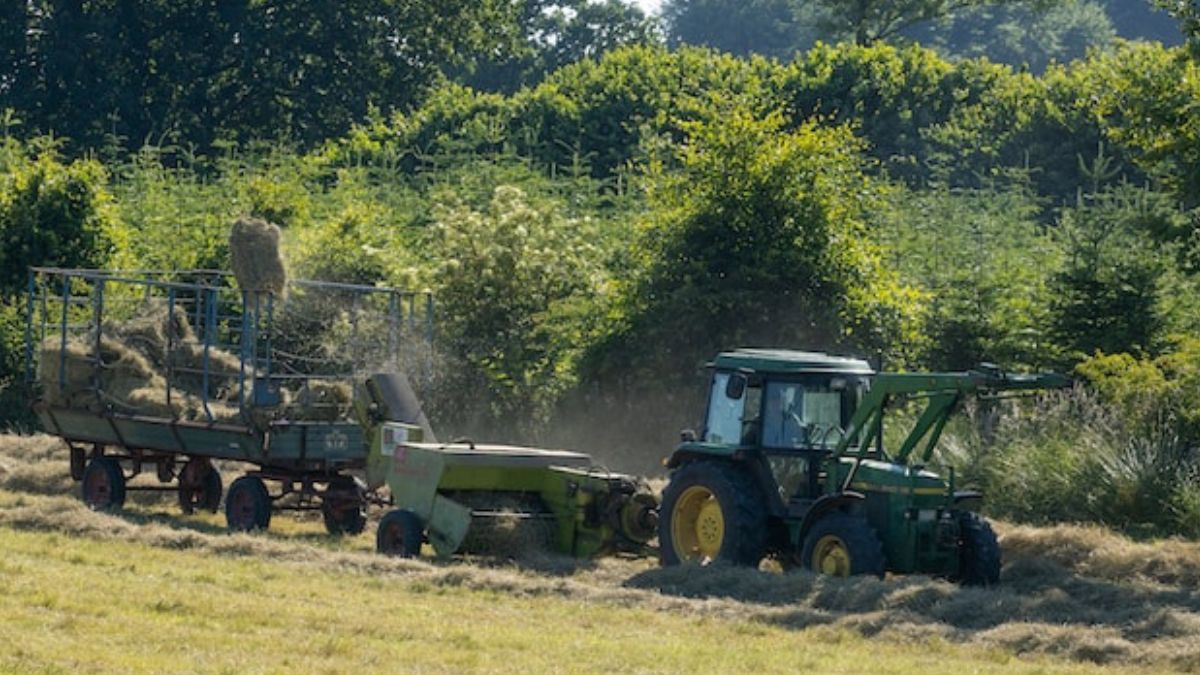 SLC Agrícola entra para as recomendações de compra da Empiricus Research para dividendos