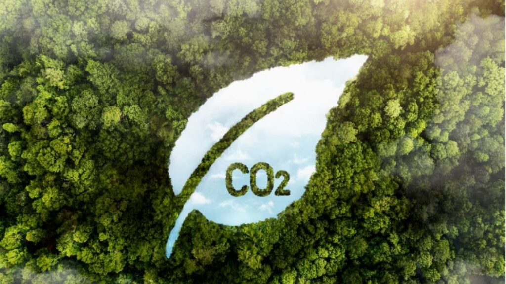 fundo de crédito de carbono Carbon Fund II Empiricus Gestão