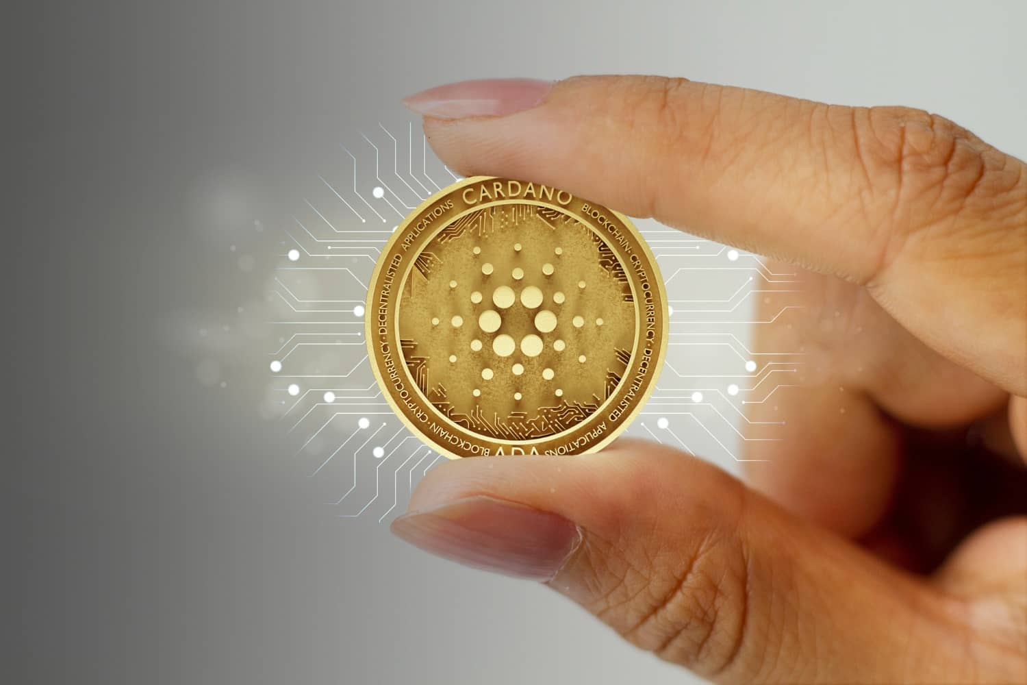 Bitcoin foi o investimento mais rentável de janeiro e pode abrir caminho para as nanocoins; veja quais são as de maior potencial