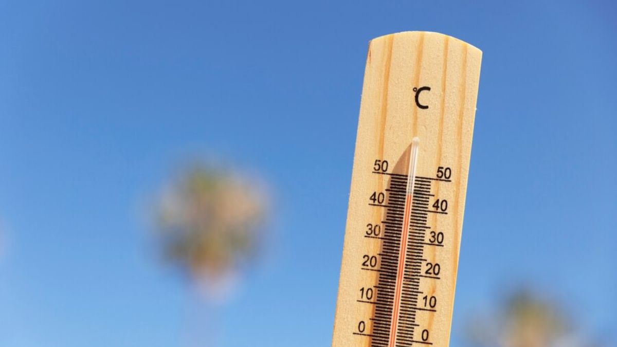 Verão turbulento