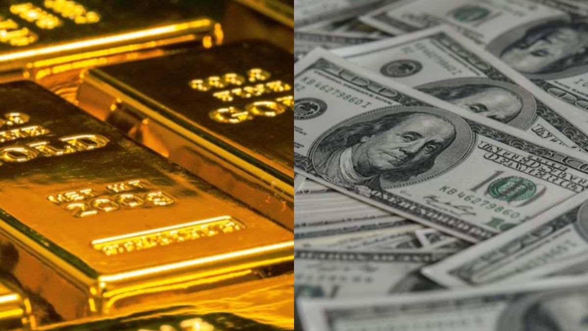 Empiricus Educação cria curso gratuito que ensina a investir em ouro e dólar