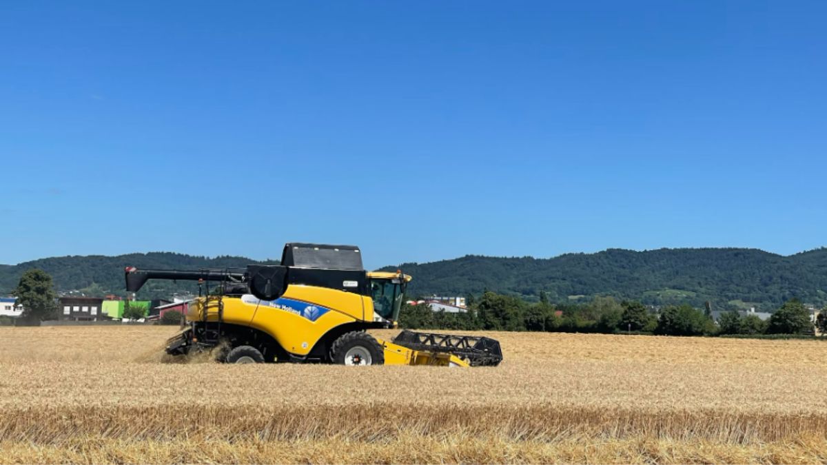 SLC Agrícola (SLCE3): por que o pior momento para o setor parece ter ficado para trás