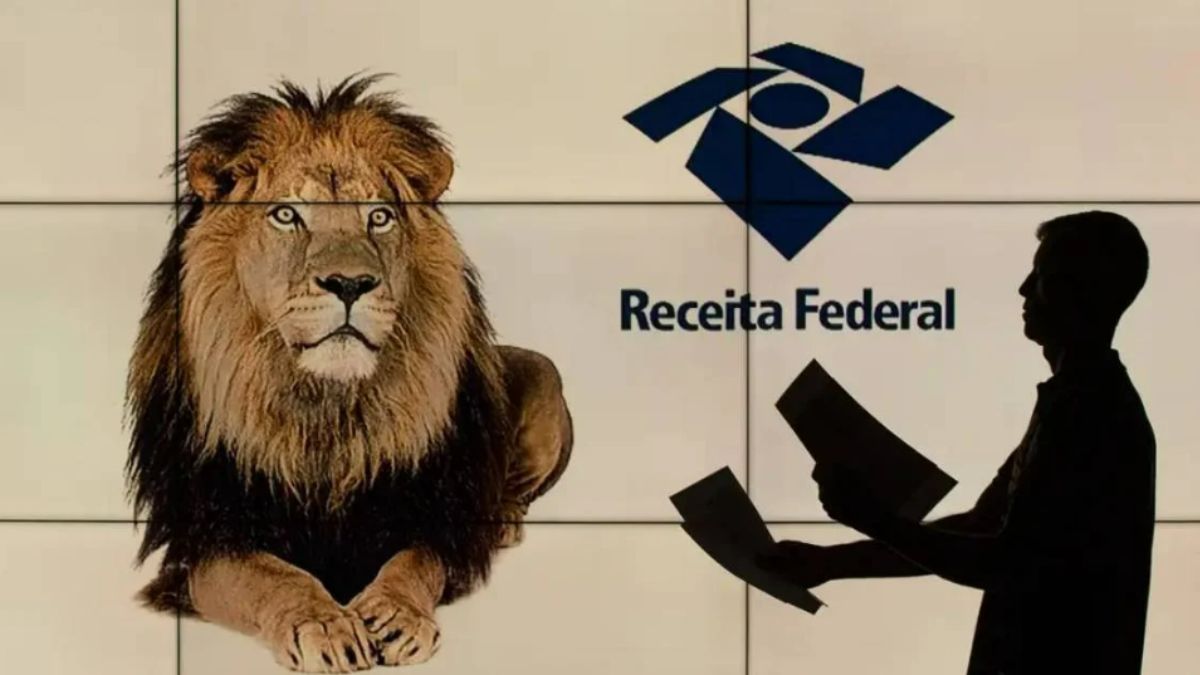Últimos dias para o Imposto de Renda: veja o passo a passo para preencher sua declaração e evitar multas