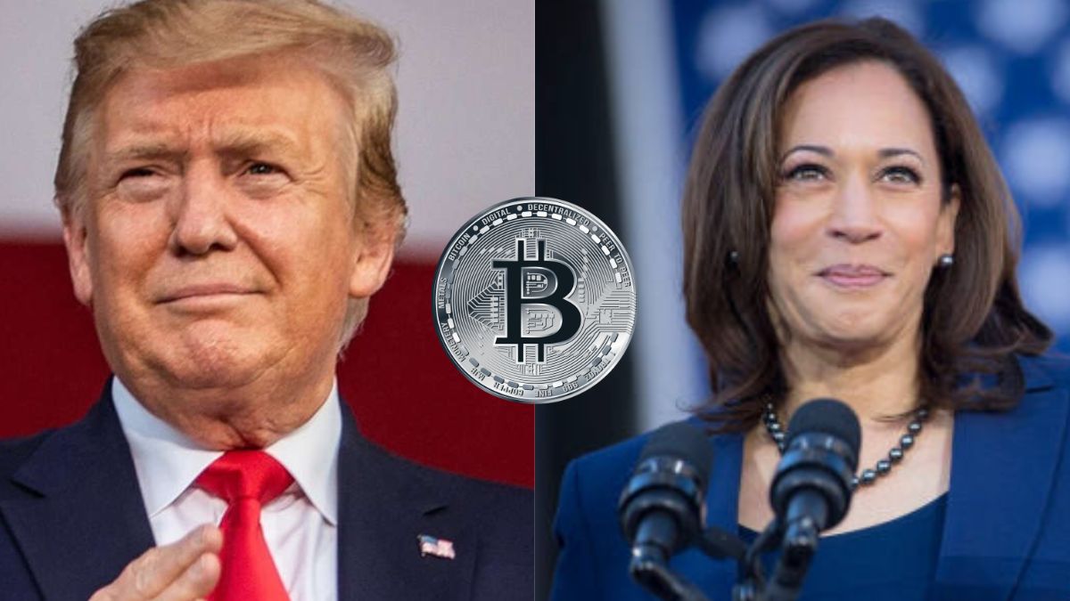 Trump Harris criptomoedas Bitcoin