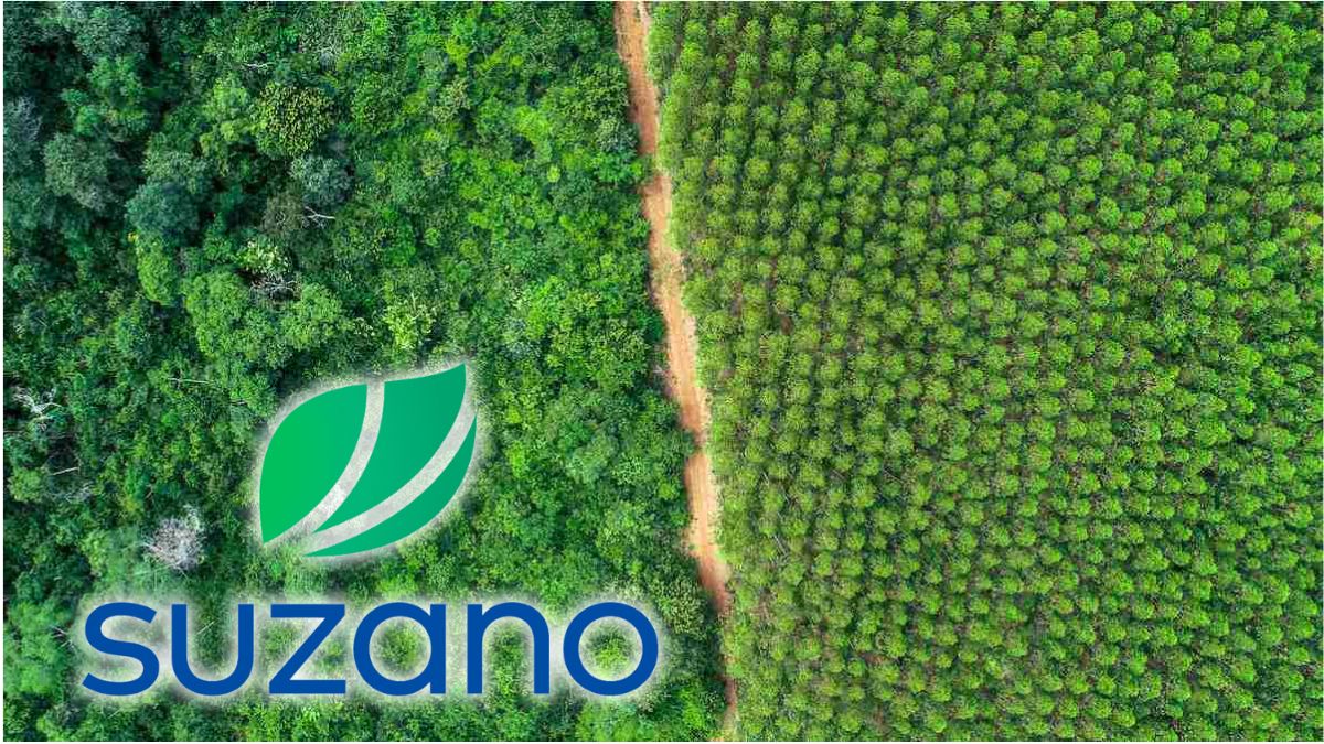 Suzano faz ajustes operacionais e financeiros, mas receita sobe com ajuda do câmbio; é hora de comprar ações?