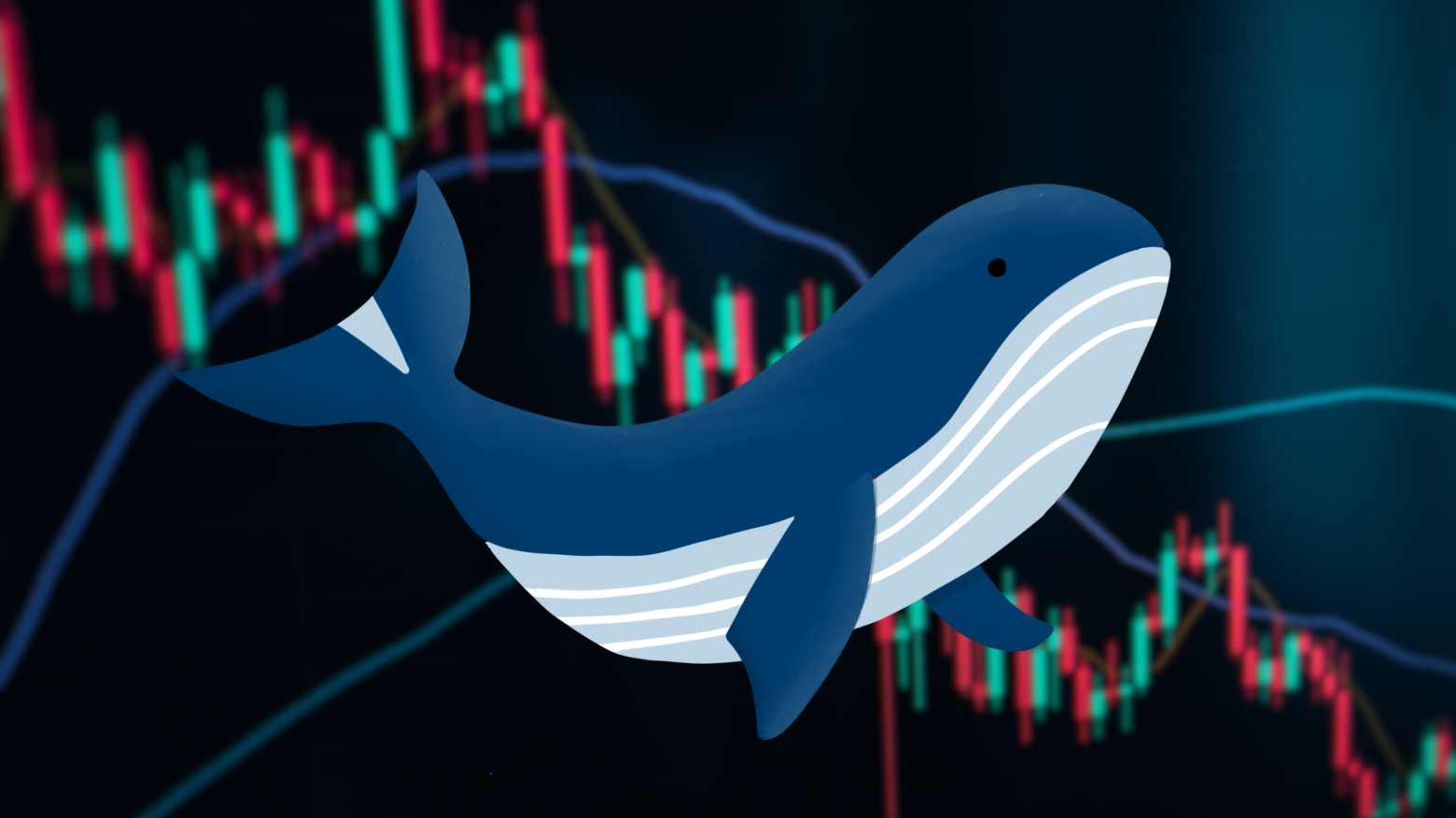 Este robô de trade ‘copia’ os movimentos das grandes baleias do mercado