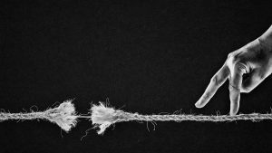 De Flávio Day a Flávio Daily …