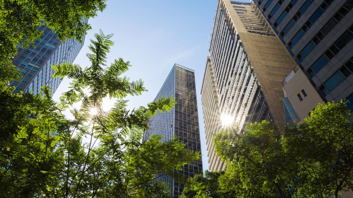 predio mercado livre fii natura brco11